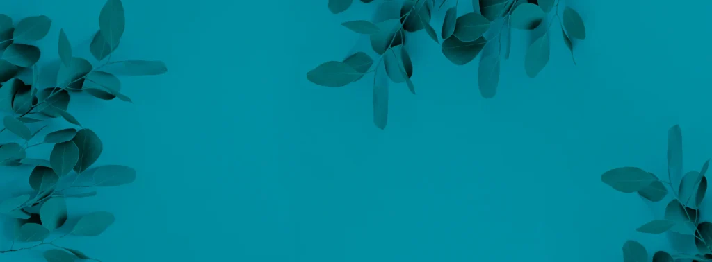 Teal background with dark green leaves hanging from the top right and left corners. Minimalist botanical design.